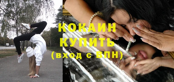 прущие грибы Братск