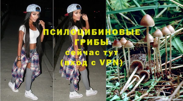 мяу мяу мука Медногорск